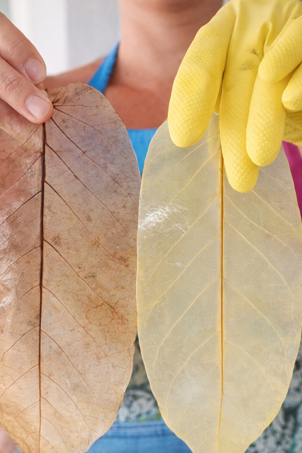 Alvejamento das Folhas